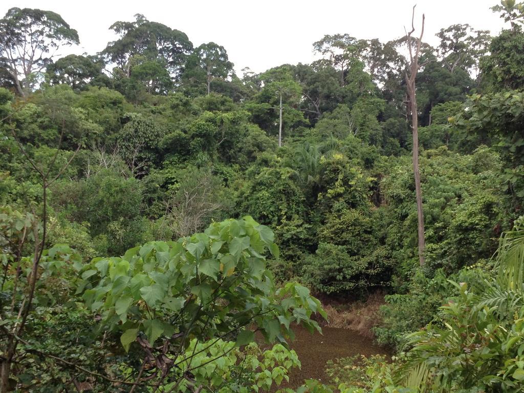 Forest Edge 3*