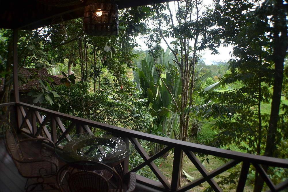 Forest Edge Resort